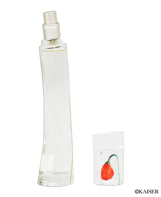 �P���]�[�^�t���O�����X�i����/�I�[�h�E�g����/�I�[�h�p���t�@���j�^�t�����[�E�o�C�E�P���]�[ �I�[�h�E�p���t�@�� 30ml �X�v���[�i�t�����[�o�C�P���]�[�I�[�h�p���t�@��30ml�X�v���[�j�^�O�ʁi�L���b�v���͂����āj