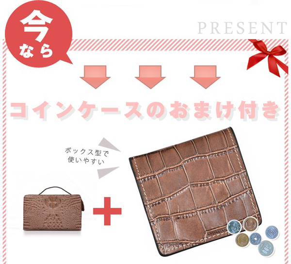 �W�����n���\��/���v�N���R�^����2�w���Z�J���h�o�b�O/�u���E��