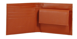 �l�b�l�i�G���E�V�[�E�G���j�^�T�C�t�^�Q�܏��K����t���^�J�[�t�{�i�C�����^�u���E���^�J����