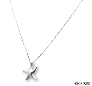 TIFFANY�i�e�B�t�@�j�[�j�^�A�N�Z�T���[�^�l�b�N���X�i�y���_���g�j�^�X�^�[�E�t�B�b�V���E�l�b�N���X�i�X�^�[�t�B�b�V���y���_���g�j�^�V���o�[�^�E�΂�